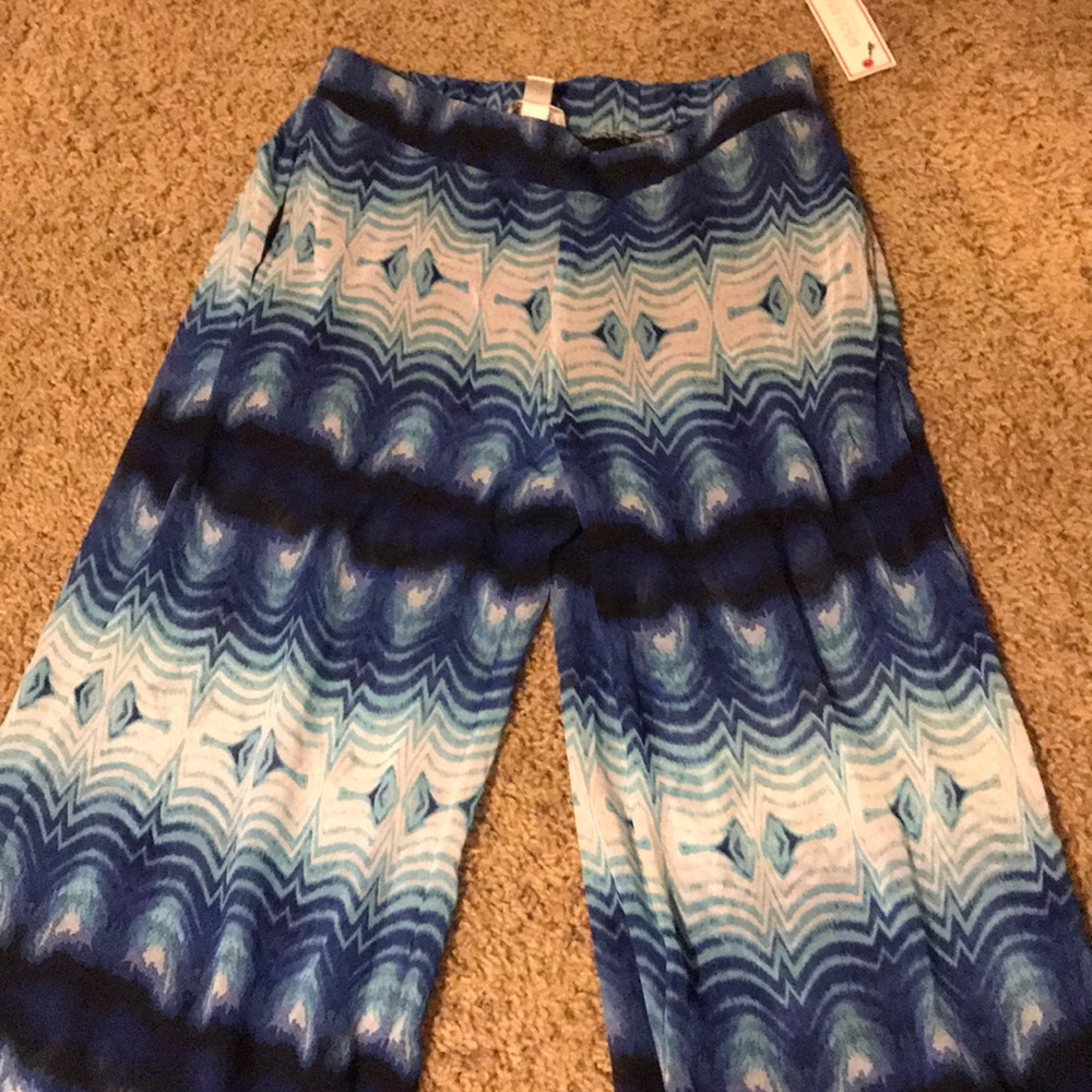 Bisou Bisou flowy sheer pants w/built-in shorts